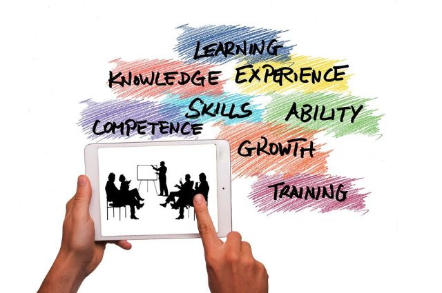 Programa de mentoring: formación de mentores